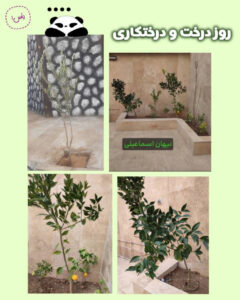 فعالیت روز درختکاری ‌کاشت نهال در روز درختکاری توسط نوآموزان کودکستان شهید غیوری کلاس سال تحصیلی ۱۴۰۵-۱۴۰۴