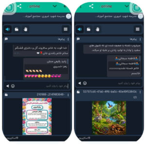 برگزاری کلاس های تقویتی در بستر اسکای روم دبستان دخترانه غیردولتی شهید غیوری سال تحصیلی ۱۴۰۵-۱۴۰۴
