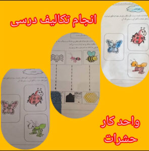 بررسی تکالیف انجام شده نوآموزان توسط مربی کودکستان شهید سید حسن غیوری سال تحصیلی ۱۴۰۵-۱۴۰۴